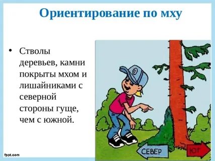 5 ориентиров