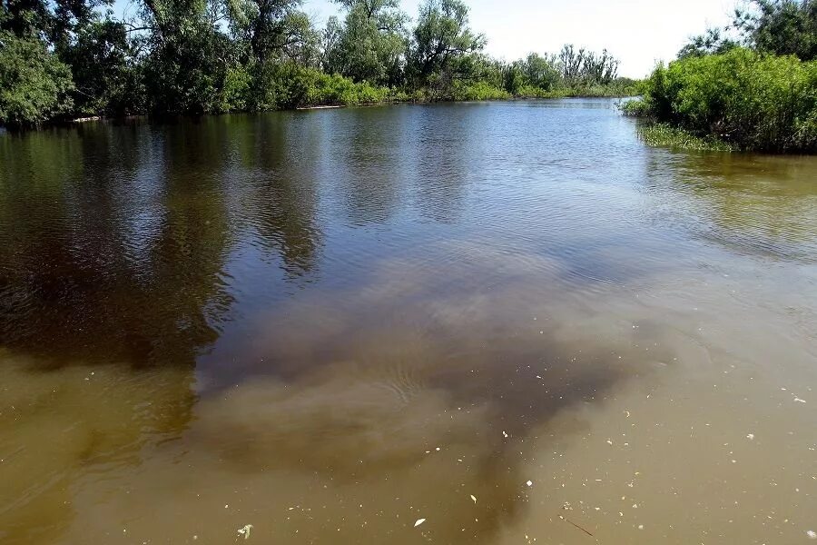 Вода в реке сура. Сузун река. Мутная река. Коричневая река. Мутность рек.