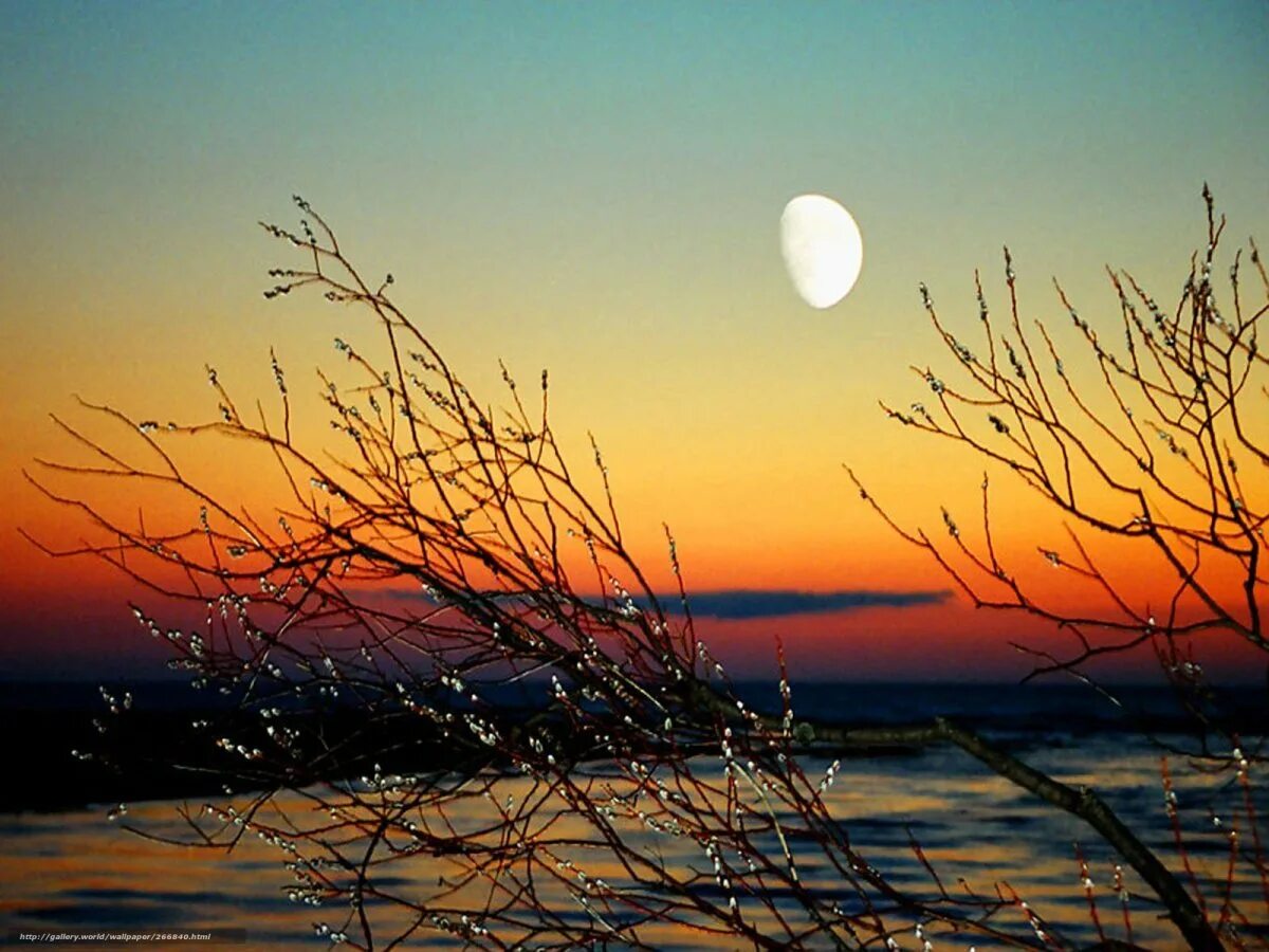 Утренний рассвет. Рассвело незаметно. Валерий смелов. Красивый восход. Клязьма мост в тумане.