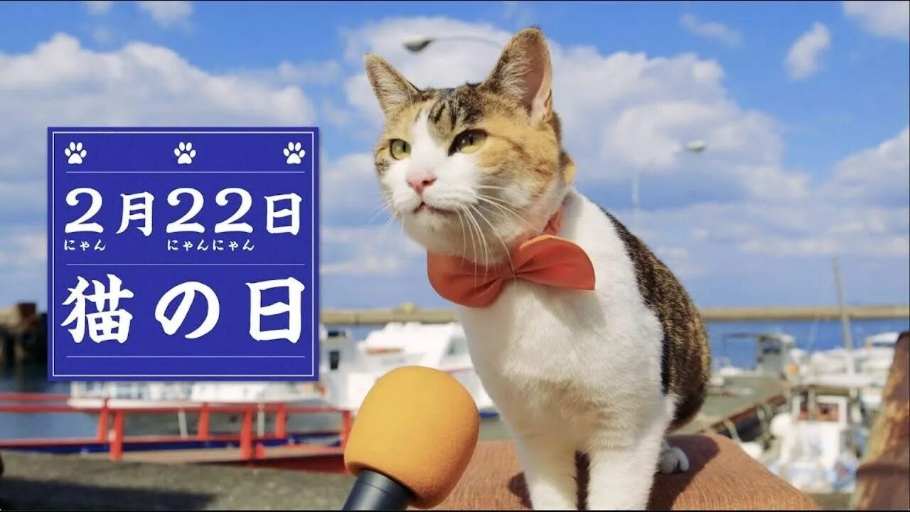 День кошек февраль. День кошек в Японии 22 февраля. Кошки в Японии. День японской кошки. День котиков в Японии.