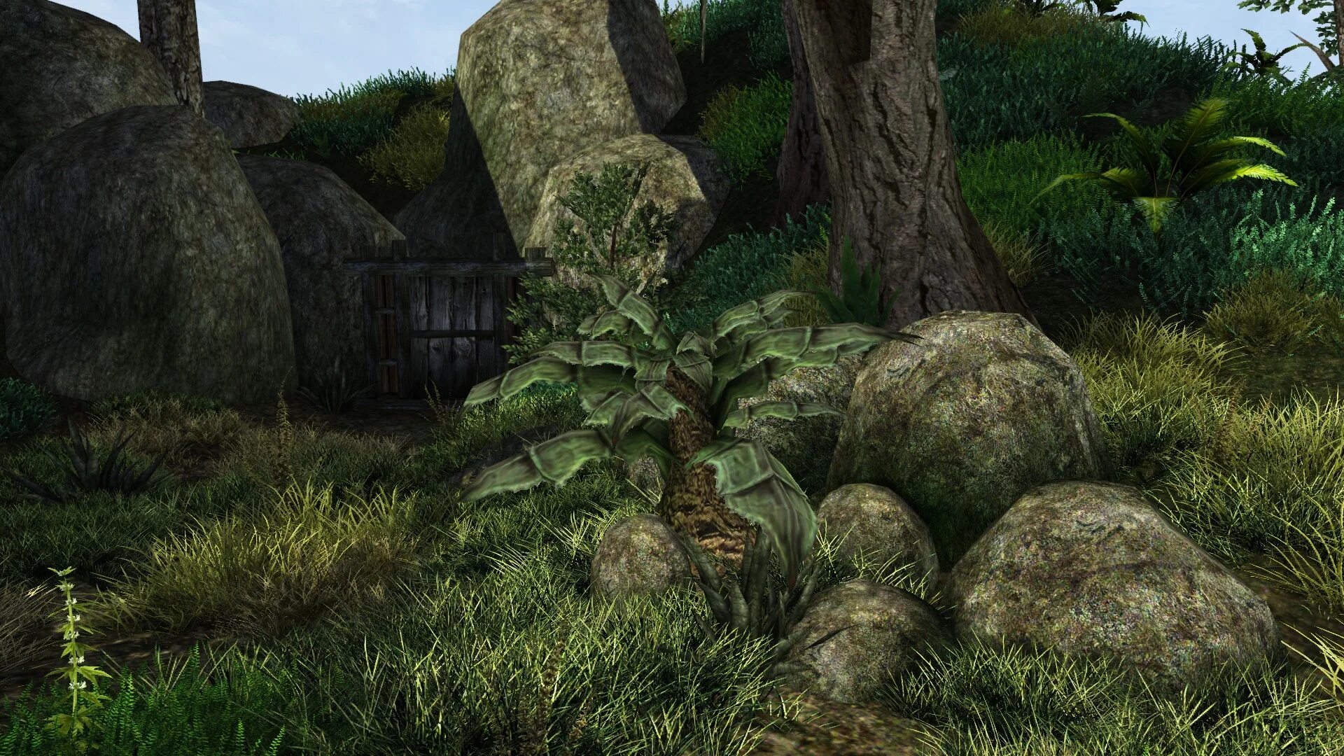 Создание текстур игр. The elder scrolls iii: morrowind. morrowind пк. morrowind hd textures. морровинд hd текстуры.