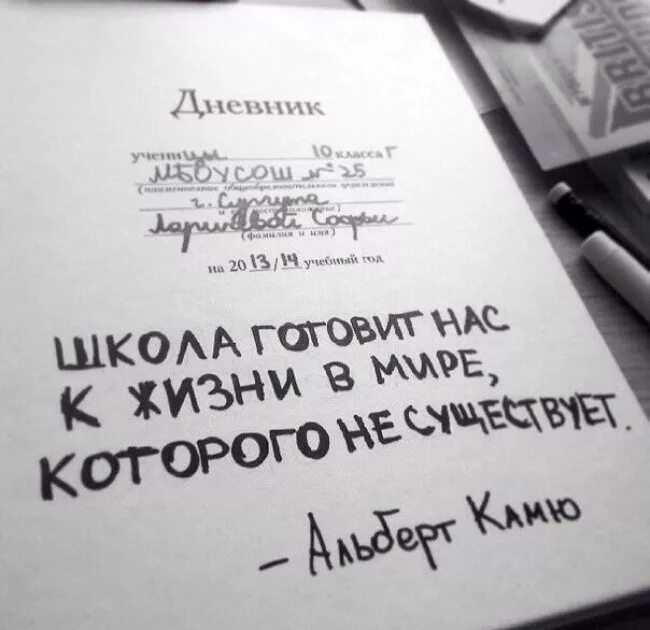Цитаты в тетрадь. Школа готовит нас к жизни в мире которого не существует. прикольные тетради с надписями. надпись на тетрадь. смешные цитаты в тетради.