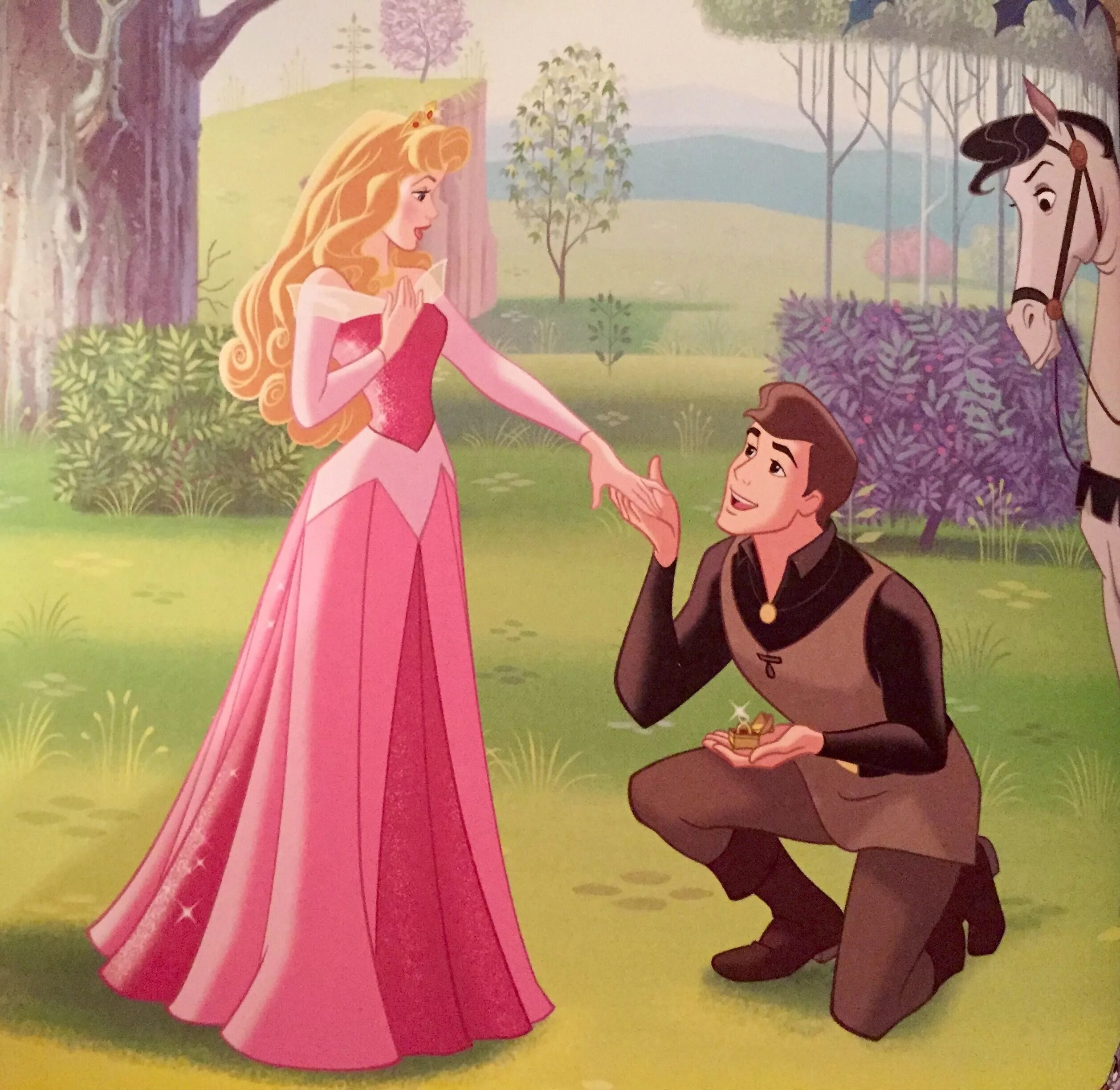 How to be a princess. How to be a princess