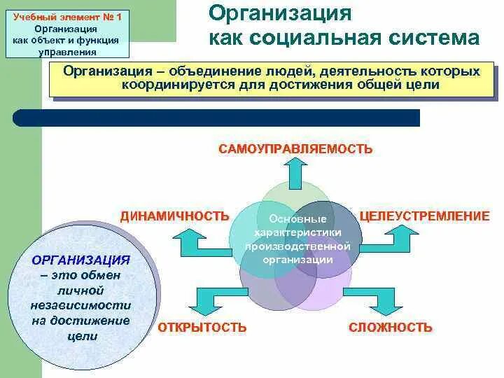 Учебные элементы пример. Элементы образовательного курса это. Виды учебных элементов. Элементы обучающего курса.