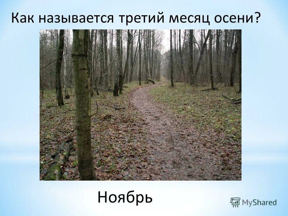 Поскрёбыш значение слова. 5 названий. А н майков ласточки. Науки, изучающие строение организма человека. Поскрёбыш значение слова.