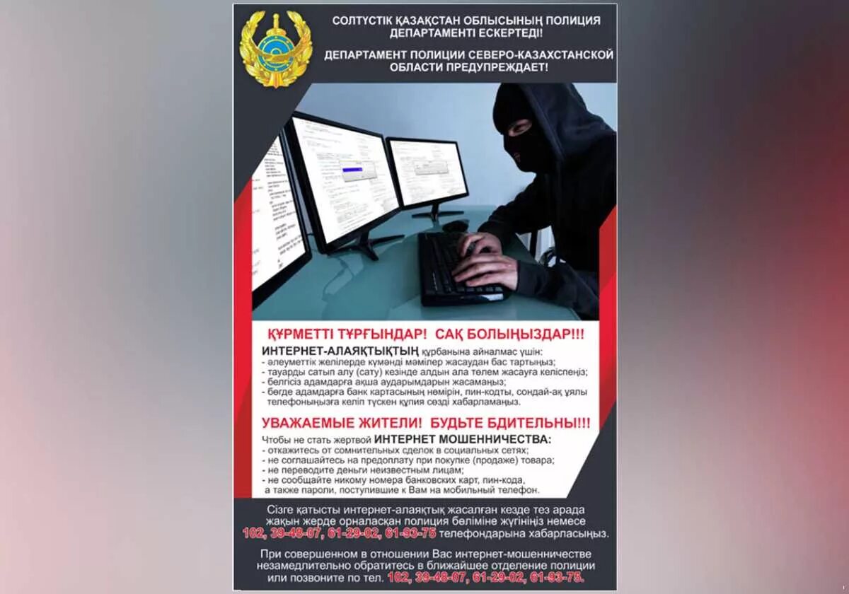 Индивидуальный проект мошенничество в интернете Информационная безопасность в школе