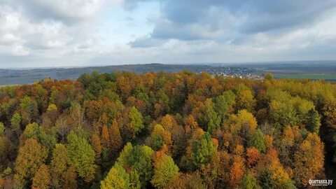 Ореховая гора