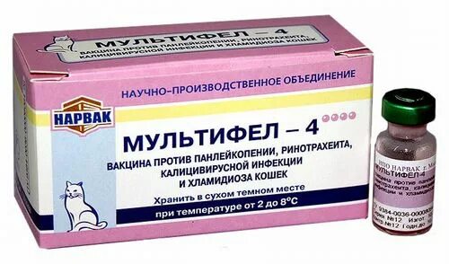 Вакцина для кошек 4. Мультифел-4, вакцина для кошек. Мультифел 6 для кошек. Мультифел-4 для кошек ревакцинация. Мультифел-4 для кошек 10 доз *1/шт.