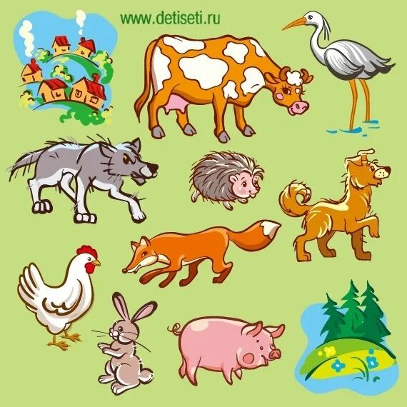 Картинка домашние и дикие животные для детей