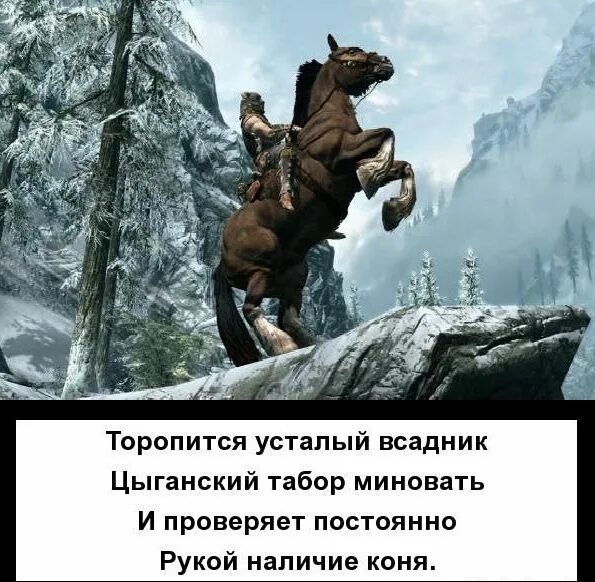 Всадник с цитатами. Конное родео. Лошади дикого запада. Кавказские афоризмы. Всадник апокалипсиса голод.