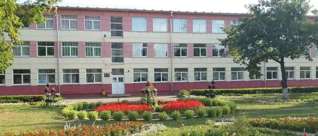 Короткевич валерия барнаул 42 гимназия. Орша сш. Орша сш. Оршанская средняя школа. Пгт орша школьники.