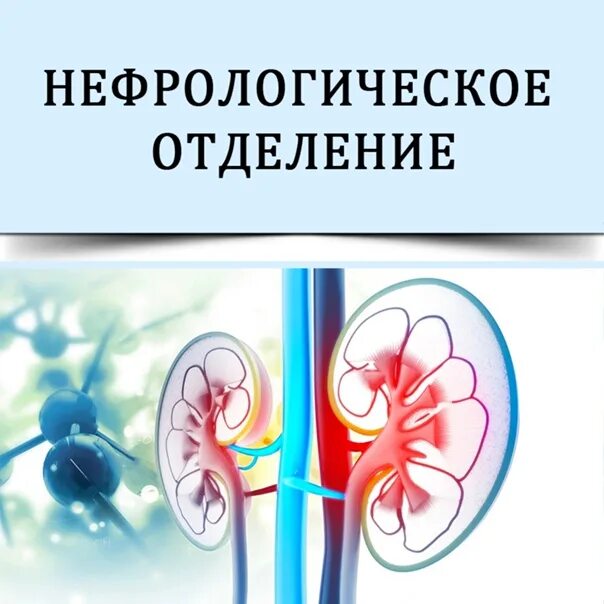 Нефрологическое отделение. Нефрология картинки. Нефрология значок. Нефрология это в медицине. Телефон нефрологического отделения