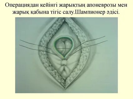 Смоленск сауналарындағы жасырын камера