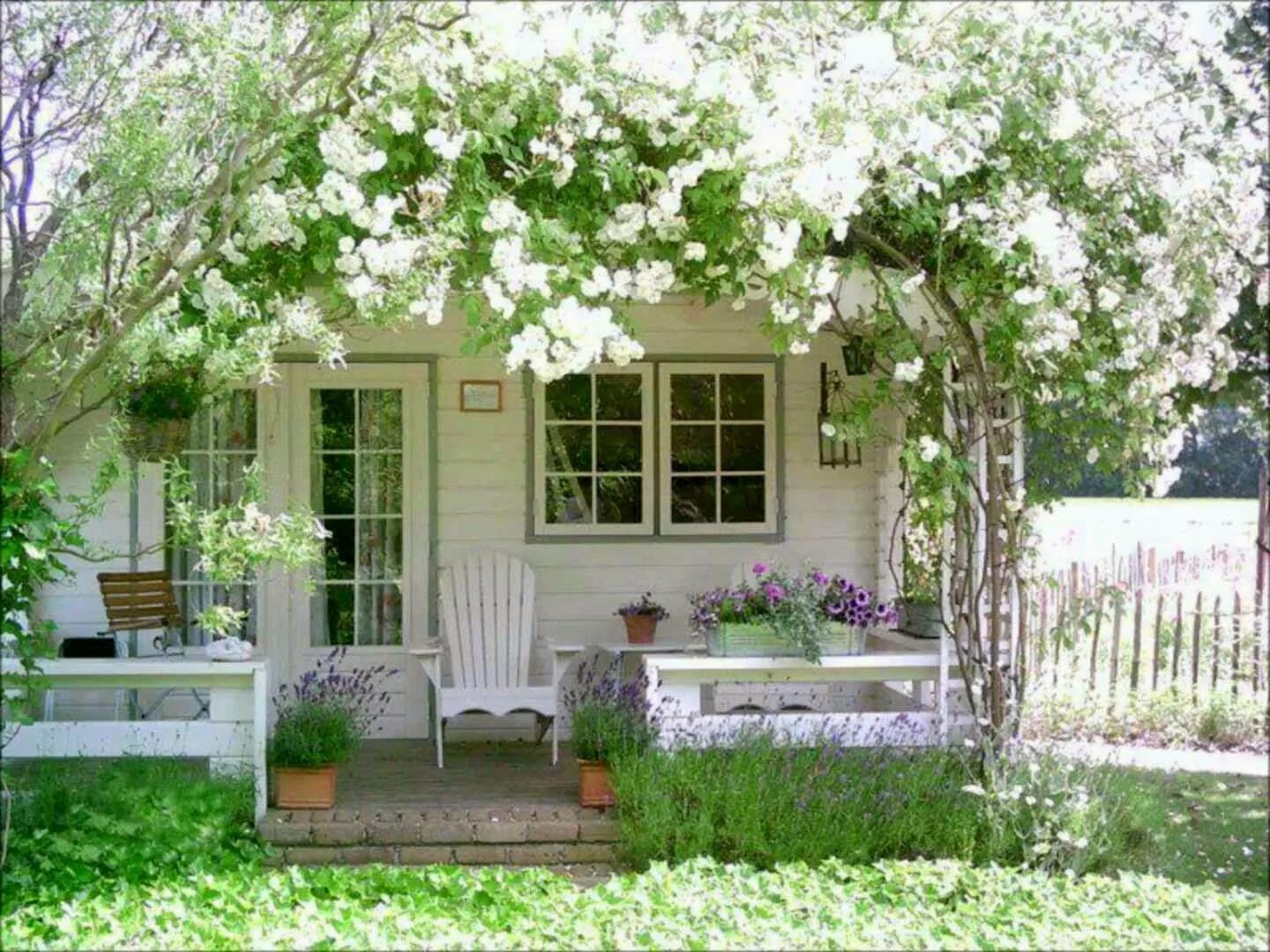 Участок под окном дома. Вишневый сад на даче. Палисадник вишневый сад. Красивая дача. Маленький домик в саду.