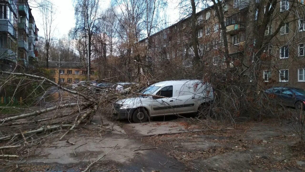 Последствия ветров. Ураган в Ярославле. Ураганный ветер в Ярославле. Сильный ветер Ярославль. Ураган в Ярославле сегодня.