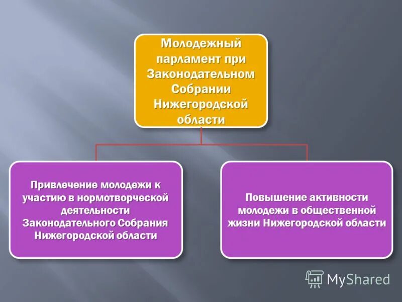 положение о молодежном парламенте