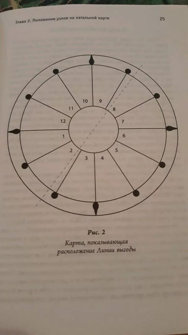 Гороскопы предсказание судьбы