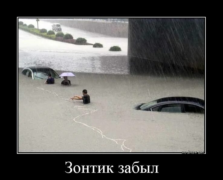 Анекдоты про зонтик. Зонтик демотиватор. забыл демотиватор. демотиваторы юмор. демотиватор про зонт.