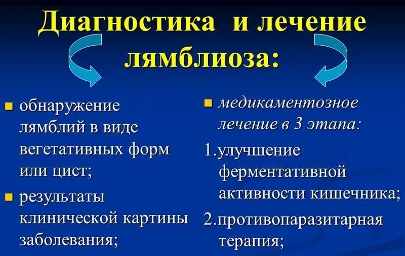 Лямблиоз симптомы и лечение фото Лямблиоз у детей презентация