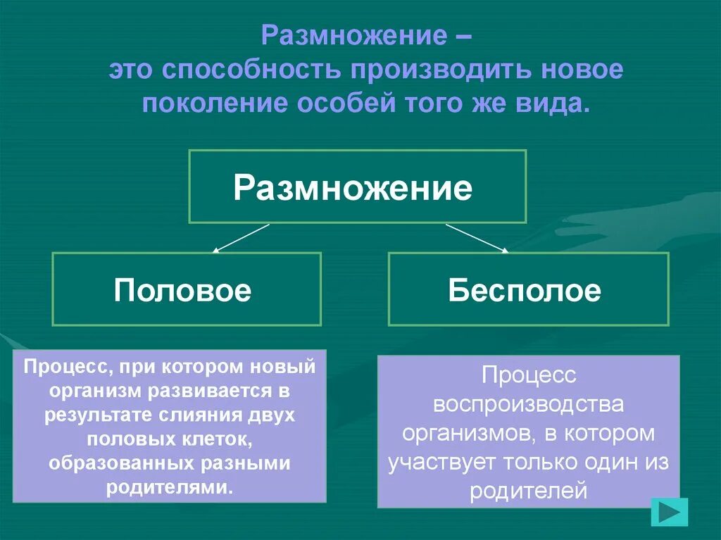 Отличия бесполого размножения. Бесполое размножение. Беспалова размножение. Половое и бесполое размножение. Ббезполовое размножение.