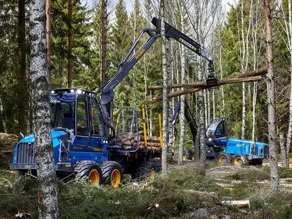 Лесотехника