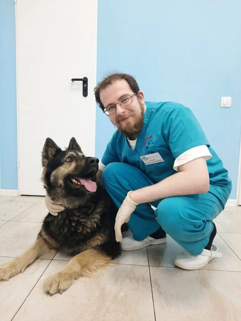 Палата номер 8 прикол. Ремонт животных. Ветеринарная клиника перово москва. Собака бульдог. Мужчина и домашние дела.