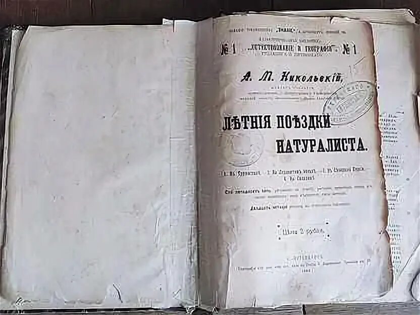 Книги 1900 годов. Книга 1900 года про сны. Книги 1900-2010 разноцветная. Купить книгу 1900 года православный.