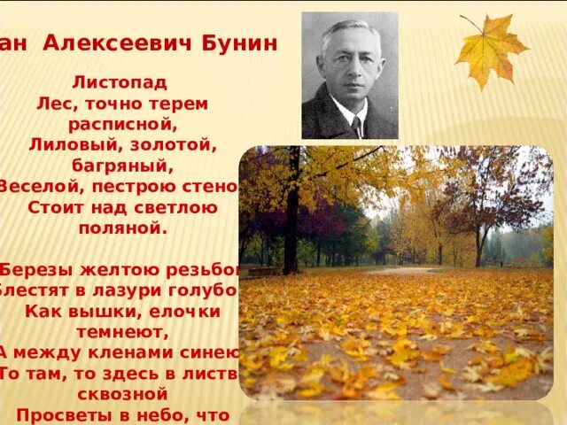 Бунин листопад 4. Бунин листопад 4