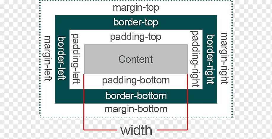 Расположить div. Margin padding CSS. Разница между margin и padding. Html margin и padding. Схема margin padding.