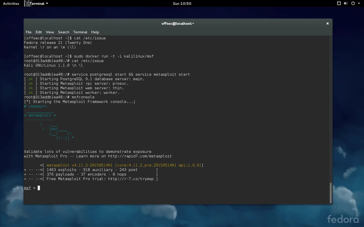 Docker localhost. Консоль linux root@root. docker linux fedora. docker в kali linux. fedora terminal.
