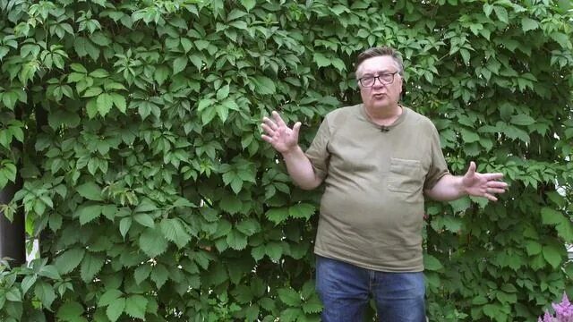 Советы Андрея Туманова - смотреть видео онлайн от "tumigr55" в хорошем качестве,