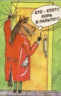 За что взяли пальто