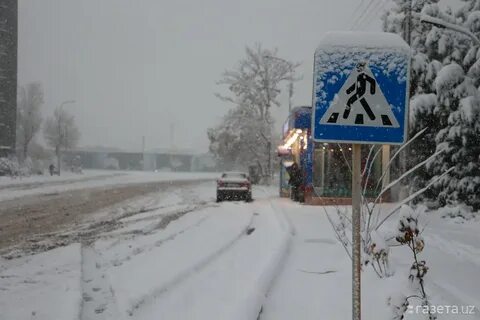 Ташкент январь 2024