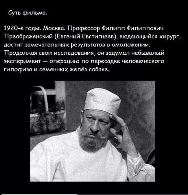 Почему эксперимент профессора преображенского не удался. Евстигнеев профессор Преображенский. Профессор Преображенский Собачье сердце цитаты. Фразы профессора Преображенского. Профессор Преображенский Собачье сердце.