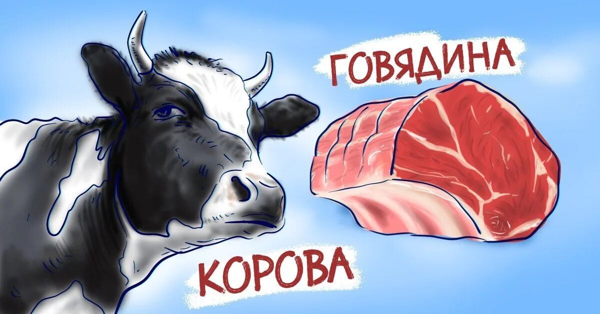 Почему коровье мясо. Говядина корова. Корова с надписью. Корова с надписью говядина. Говядина рисунок.