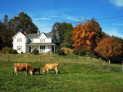 Farm live