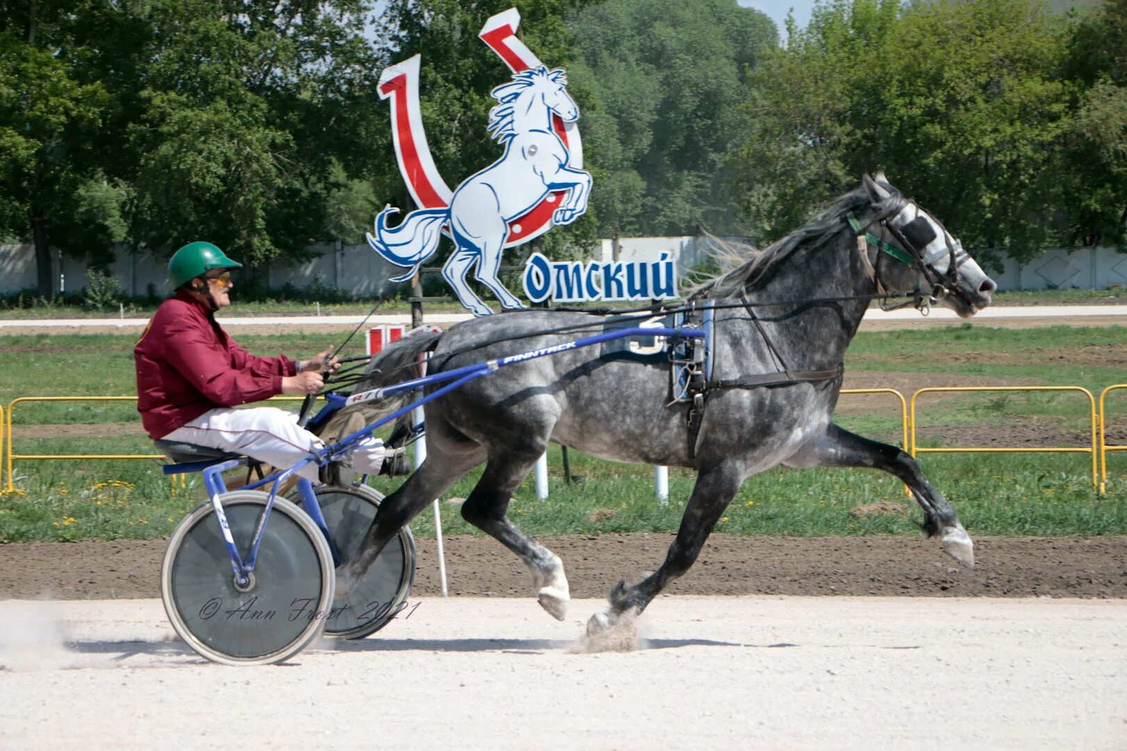 ход конем хабаровск