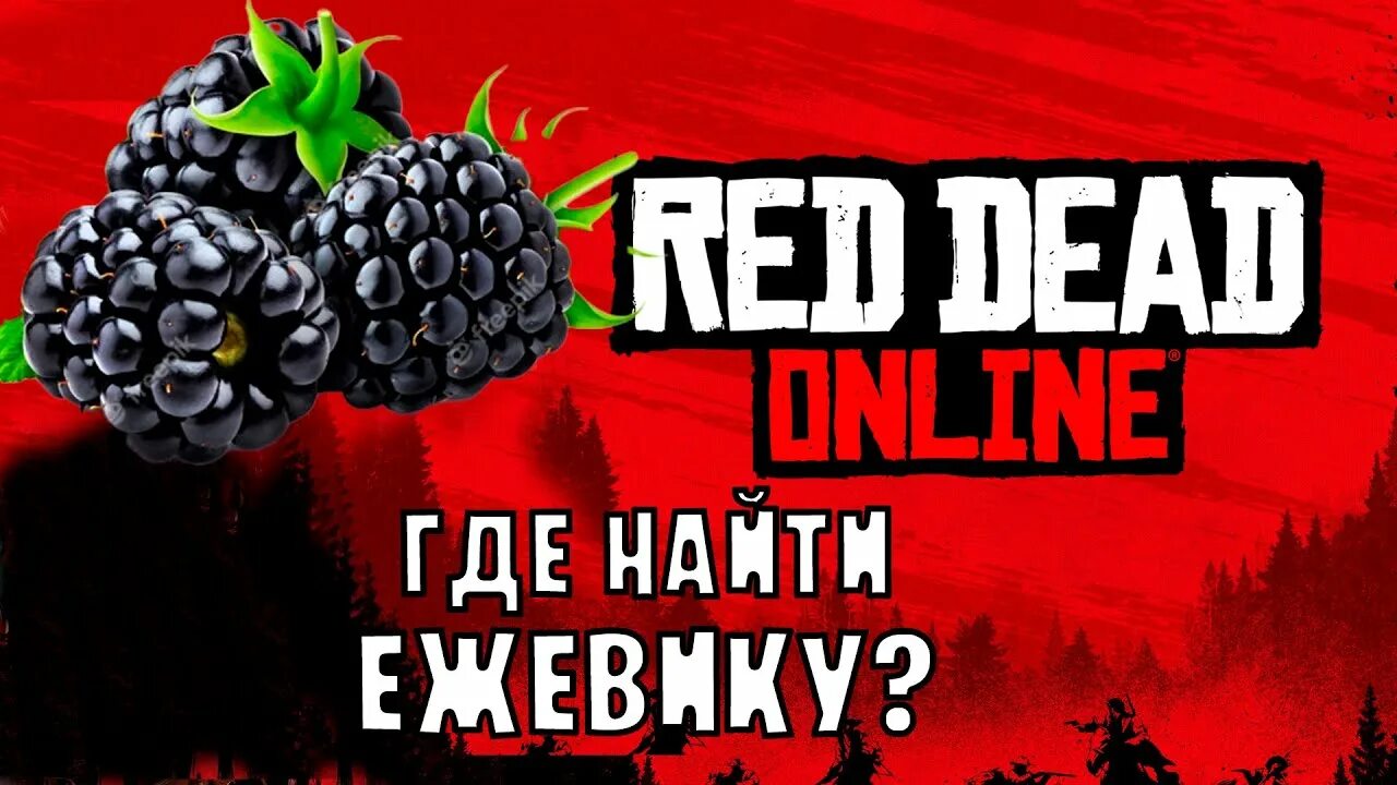 Rdr 2 ежевика. Red dead redemption 2 карта орхидей. Золотистая смородина rdr 2. Red dead redemption 2 орхидея аромат ночи. Гора хаген rdr 2.