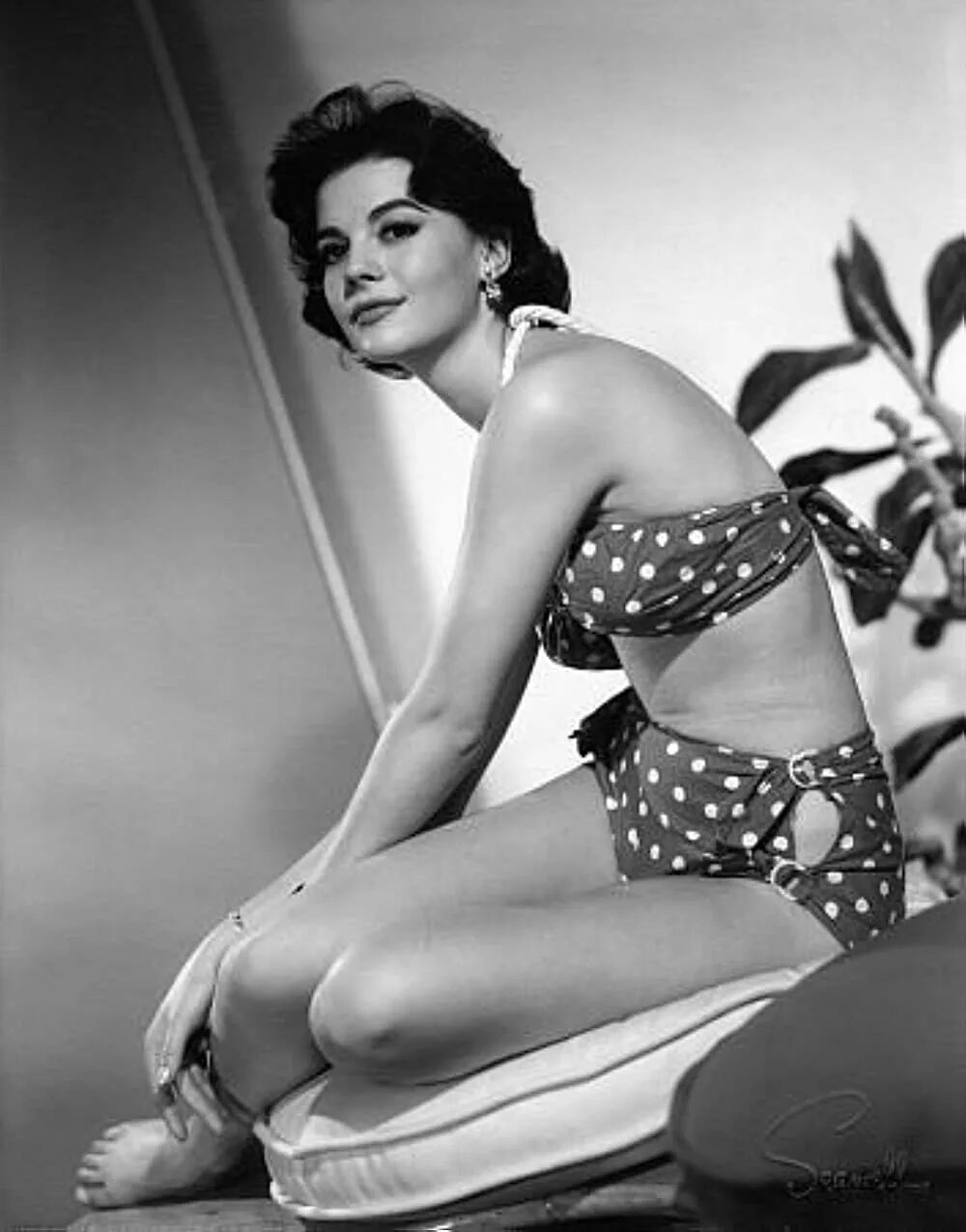 Natalie wood tv girl
