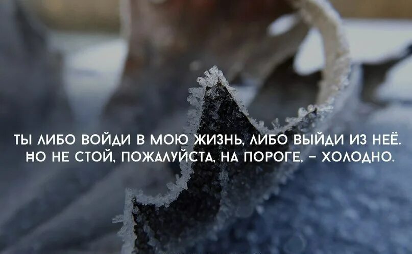 Всегда либо. Ты либо войди в мою жизнь либо выйди. Ты либо зайди в мою жизнь либо. Холодно высказывания. Цитаты про холод.