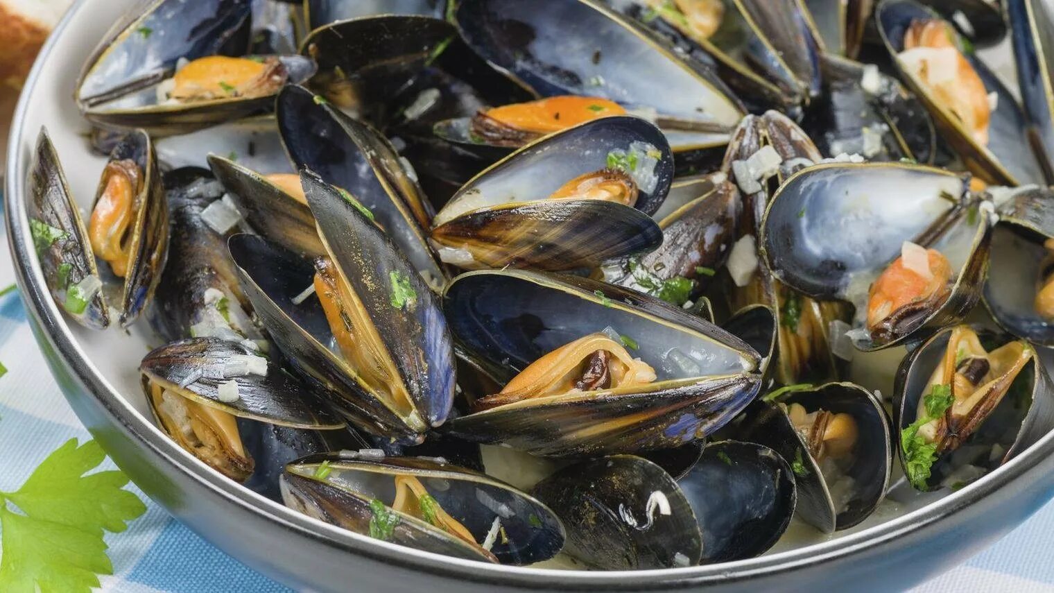 Цвет раковины мидии. Мидии мариньер. мидии по бельгийски. belgian mussels.