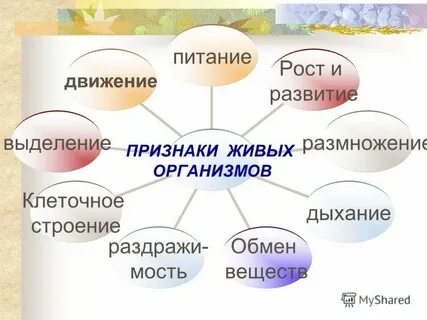 Биологические признаки 5 класс