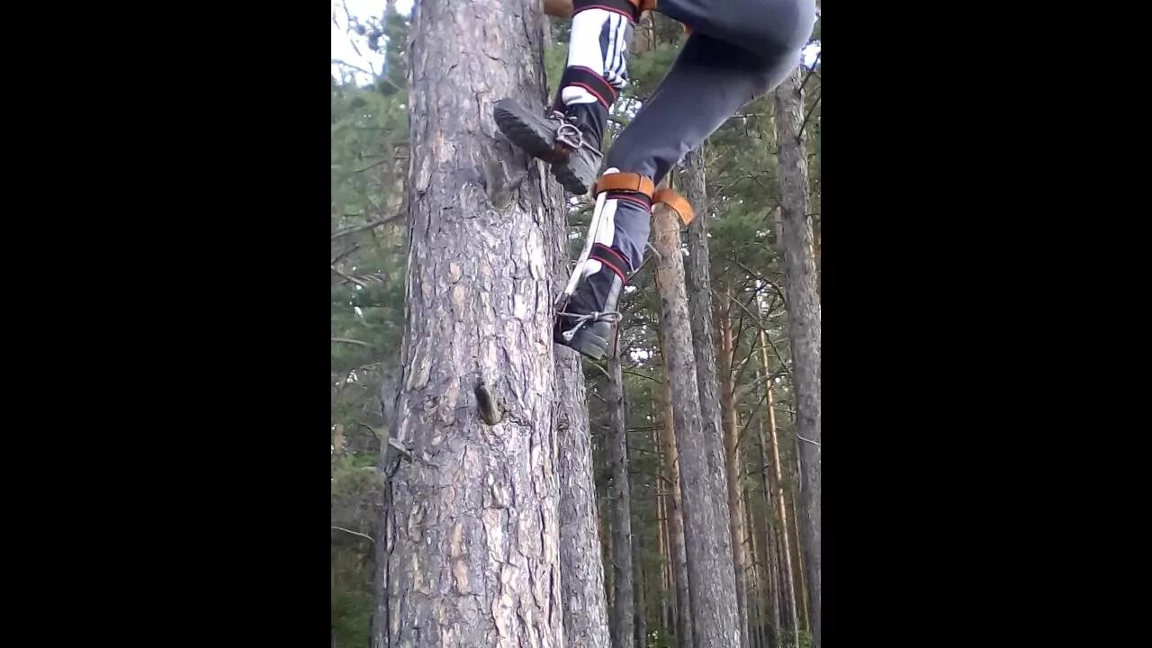 Как залезть на сап