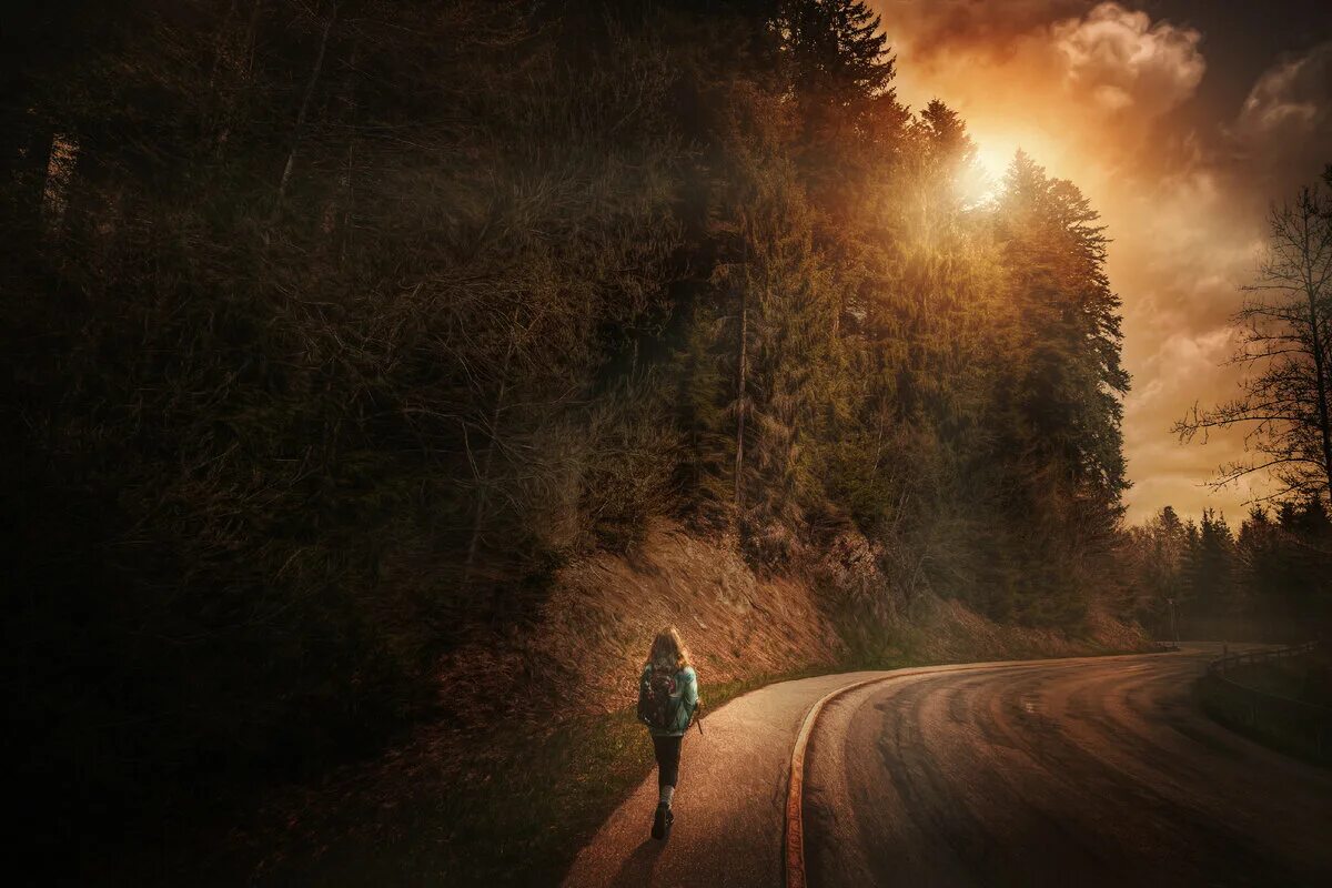Никуда домой. Красивая дорога. Человек на дороге. Дорога в лесу. Светлая дорога.