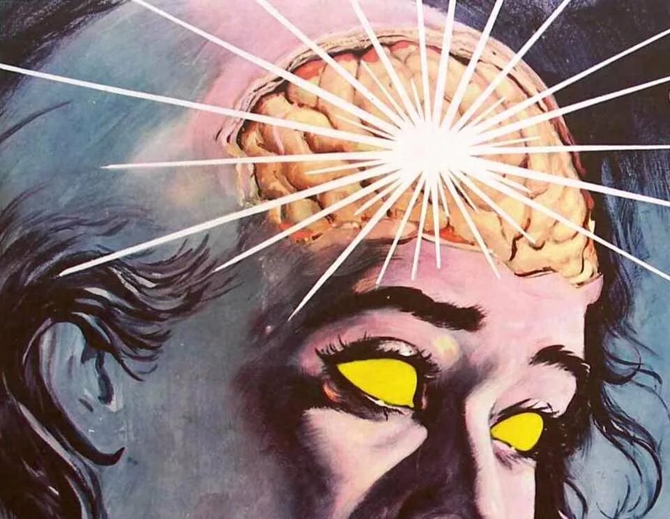 The brains video
