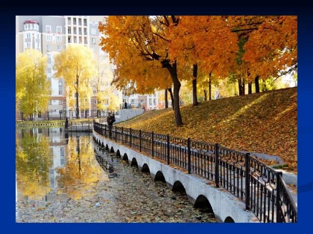 Золотая осень в Уфе: бабье лето, листопад и никакой хандры!