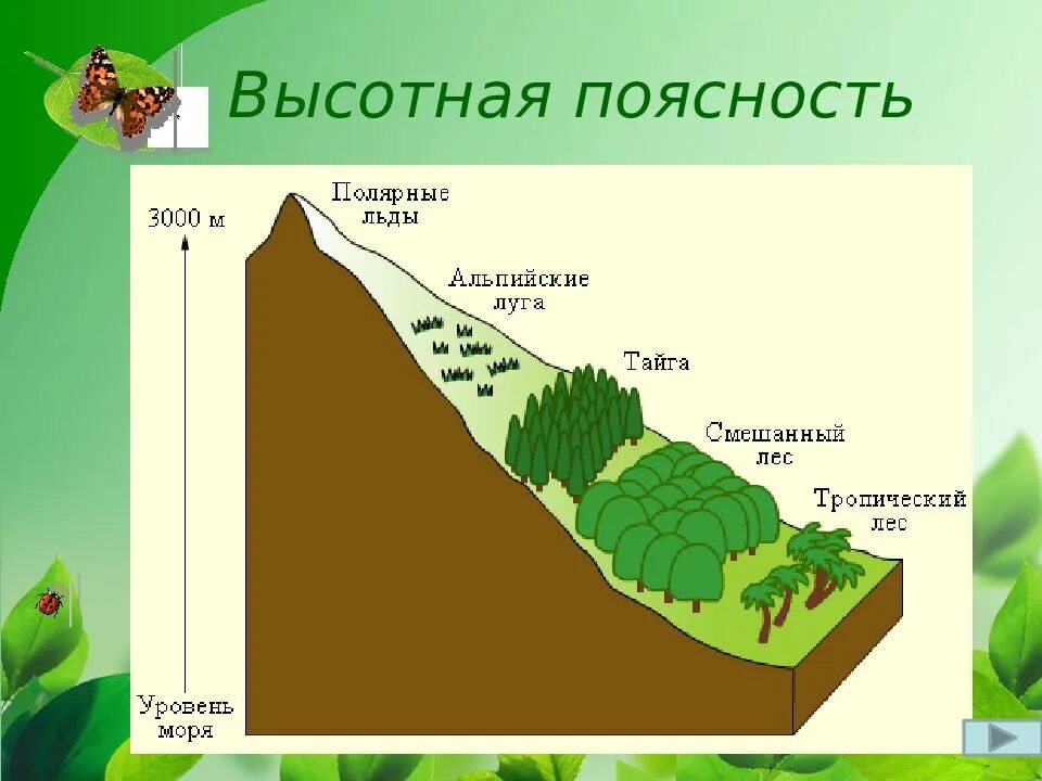 Как сменяются природные зоны