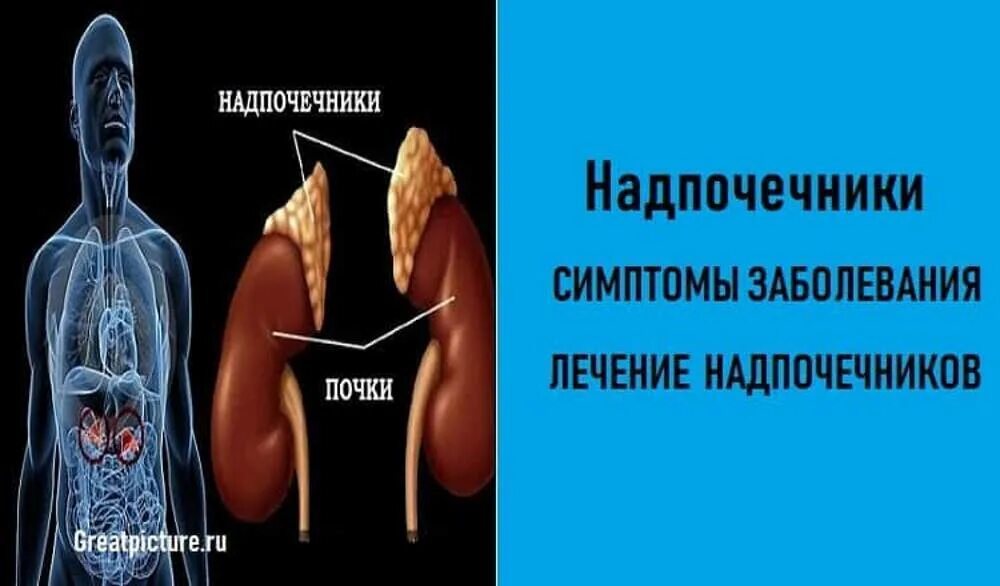 Заболевание надпочечников симптомы и признаки. Надпочечники симптомы заболевания. Надпочечники симптомы нарушений. Почки и надпочечники. Симптомы больных надпочечников.