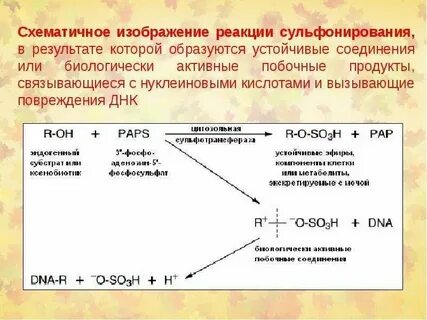 Побочный продукт процветающих банков