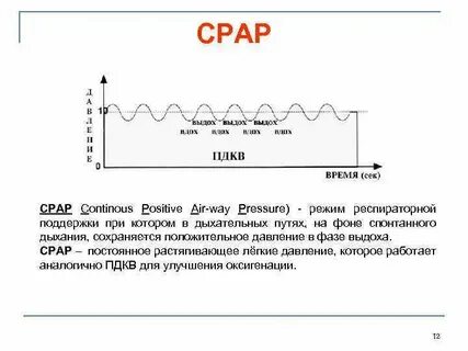Пдкв